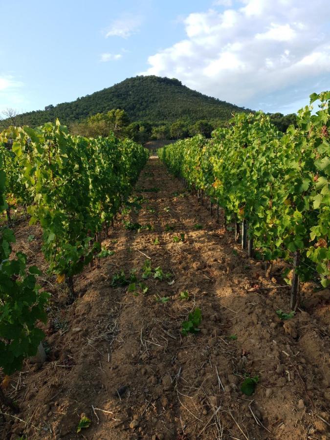 Domaine De La Navicelle Villa เลอ ปราเดต์ ภายนอก รูปภาพ